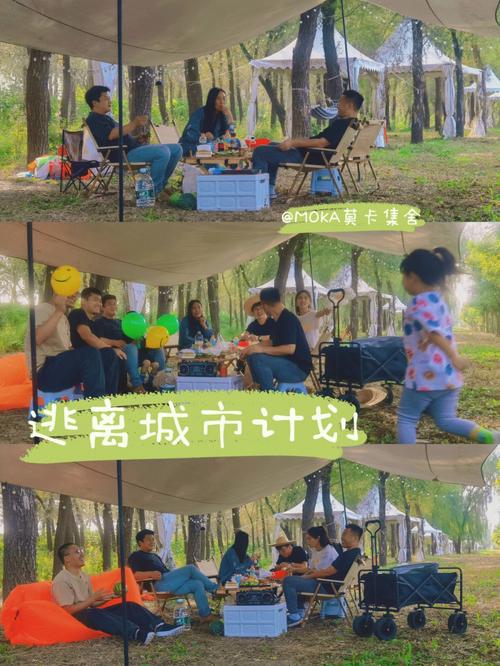 年轻人的钱花哪儿了 从城市到山野 周末逃离计划”带火山间经济