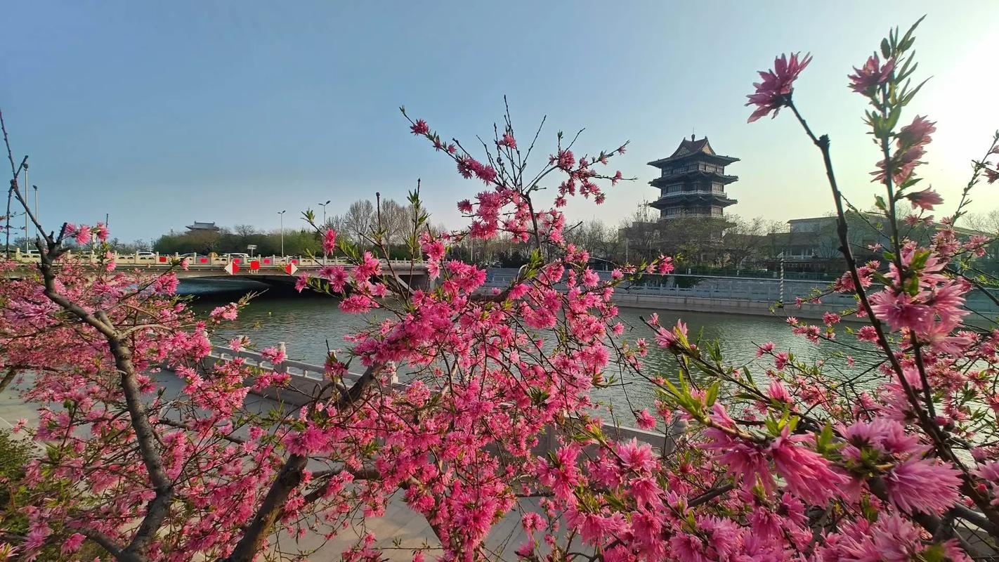 百花次第开 春游承德县