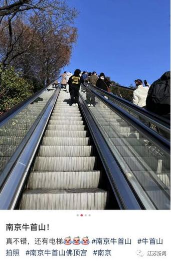 上班暂停！清明来这五座“自动挡懒人名山”山一步不爬，景一处不落！
