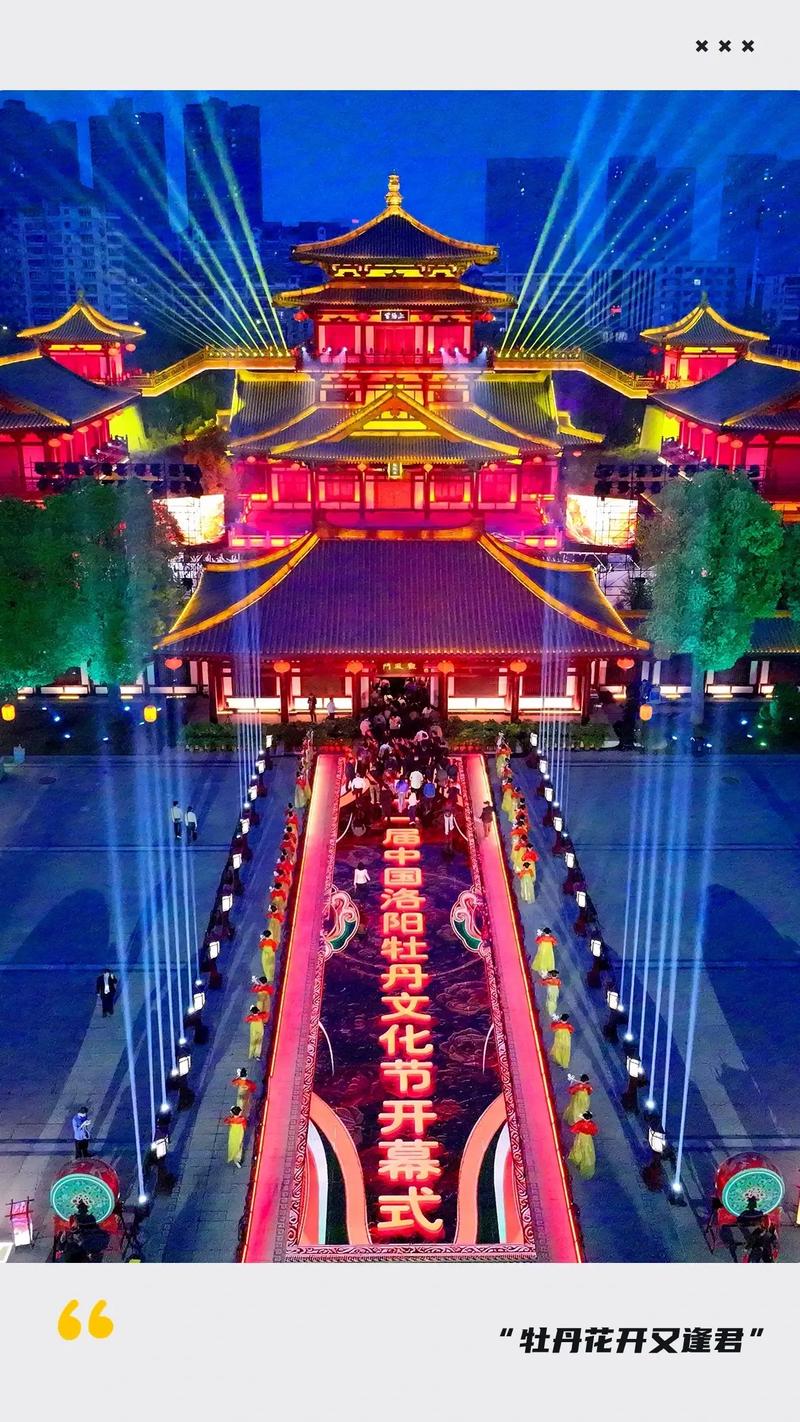 第六届牡丹节倒计时！临沂书法广场准备好了！
