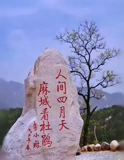 人间四月，清明雨未下 春暖斯人，慈云花已落 徒步青龙山 合十]合十]合十]