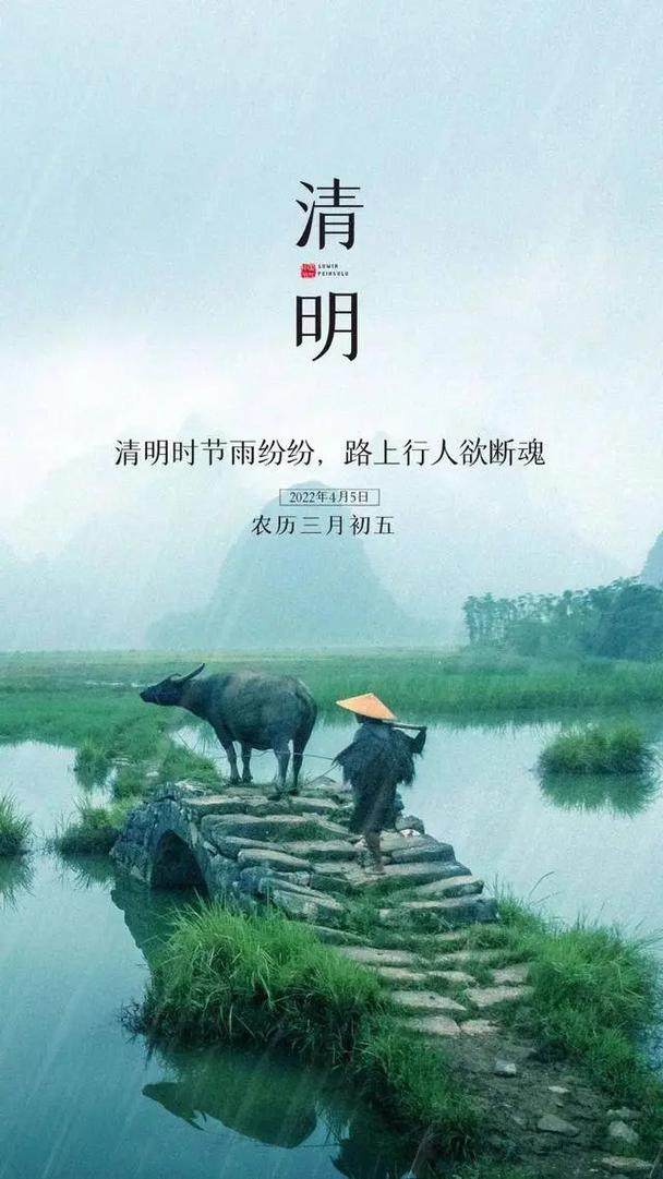 万物清明，跟着细雨过春天