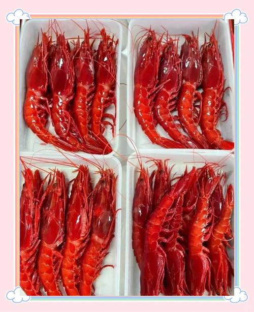 吃海鲜，红魔虾，海虹，文贝，酱母蟹，牡丹虾，三文鱼