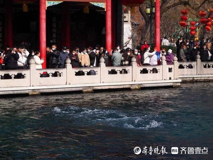 清明假期第二天 济南“泉水游”热度不减