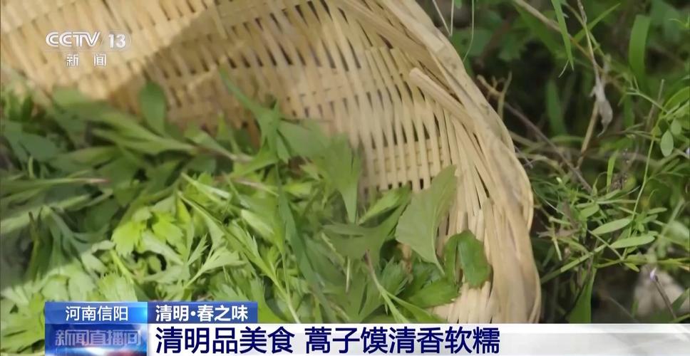 在舌尖收藏春天 来品尝大江南北“春天的第一口鲜”吧