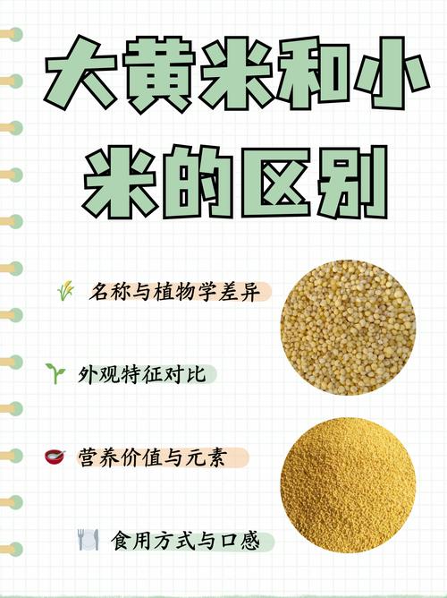 人们常吃的小米，还有多少秘密是我们不知道的？
