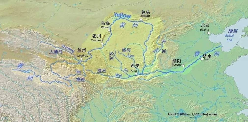 数读济南医保：用数据丈量民生温度 新黄河一图