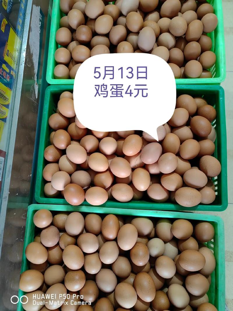 鸡蛋价格上涨厉害，看山东4.8今天多少钱一斤？这价有点吃惊