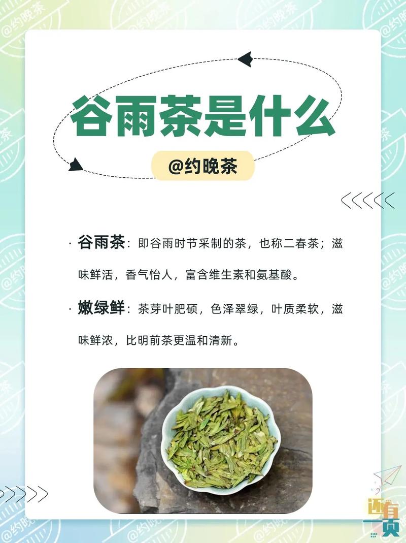 谷雨宜喝茶！不摸清禁忌，当心喝错伤身