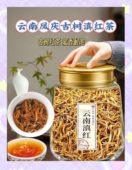 文化中国行 凤庆滇红茶：承古创新 清香如故