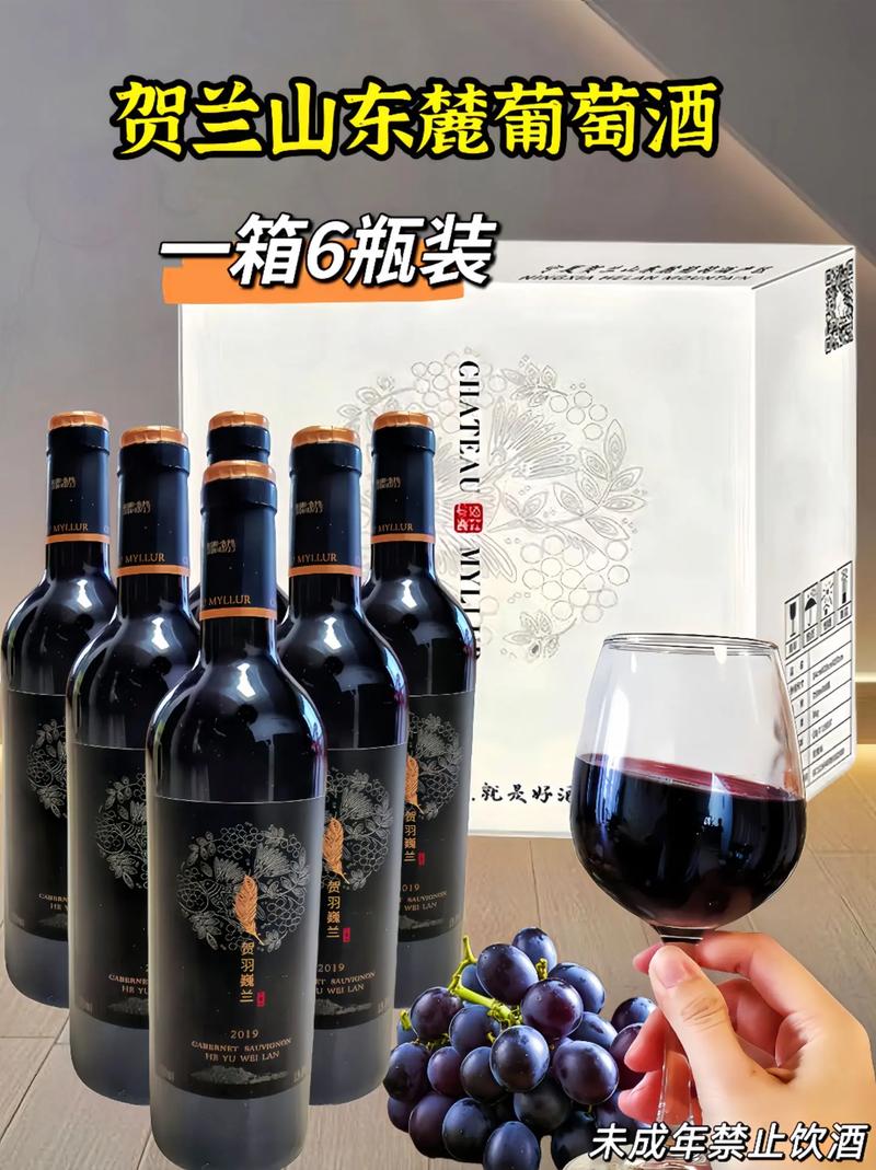 当宁夏遇上了葡萄酒，贺兰山东麓如何用一杯酒撬动千亿产业？