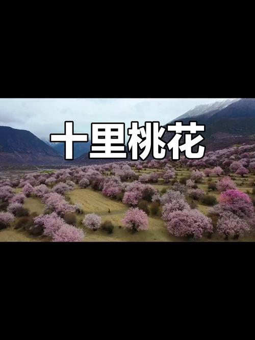 盘点山东现实版“三生三世十里桃花”趁现在快去赴一场春之约