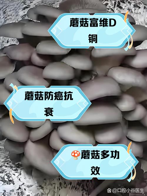 美食 第35页