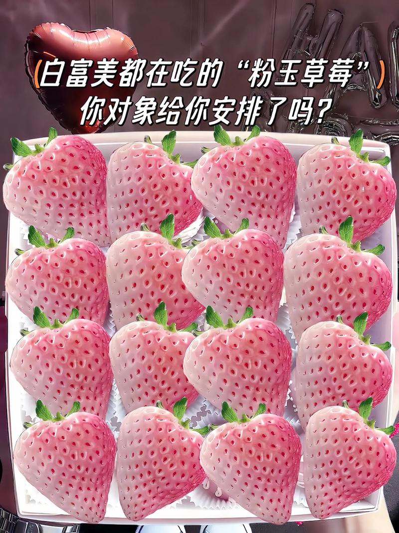 挑战吃各种草莓，原来草莓的种类有这么多？还有草莓爱马仕！