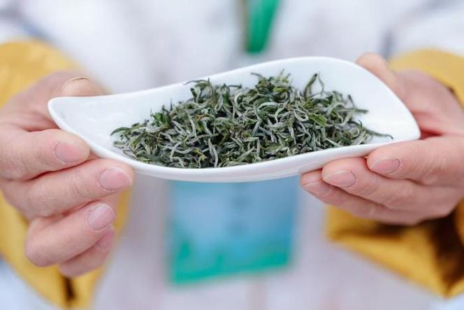 径山茶“进京”千年禅茶邂逅智能科技