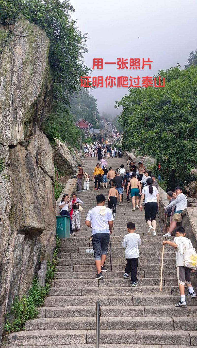 千万别爬泰山，下次倒贴钱我都不来了，这坑踩的，一路真实感受