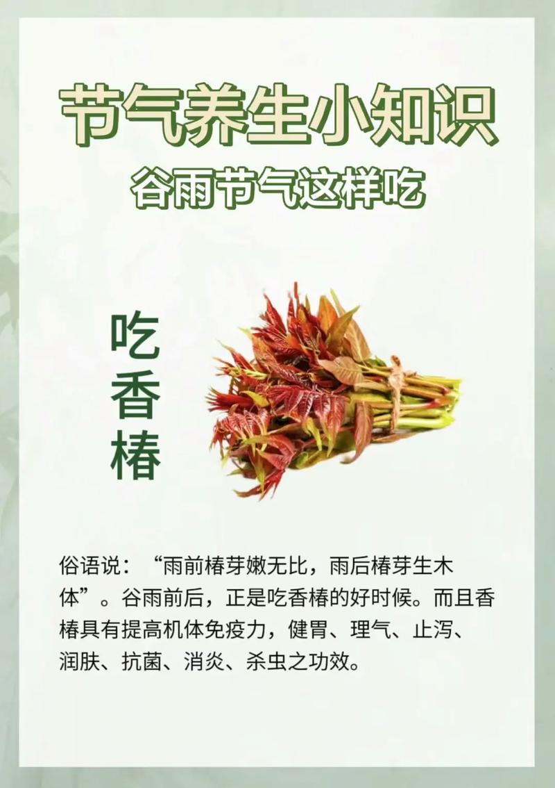 4月20谷雨有讲究，吃“3菜”喝“2汤”跟着季节走，稳健过节气