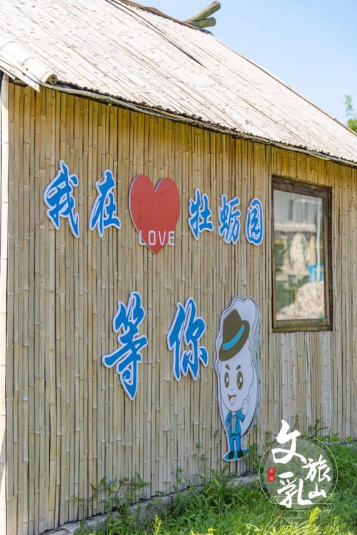 「齐鲁1号」直达乳山！这座藏着无数美味的小城，懂吃的人一定要来！