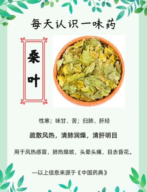 惊！城里人疯抢农村桑叶，竟是为了养生？吃法功效全解析！