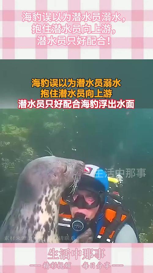 肉感人鱼出道！济南男潜水员穿鱼尾服水中热舞，网友：这是海豹吧
