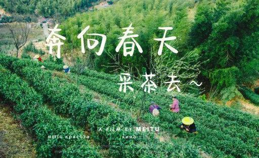 “春韵黔茶”茶会：一场沉浸式春日茶文化体验之旅