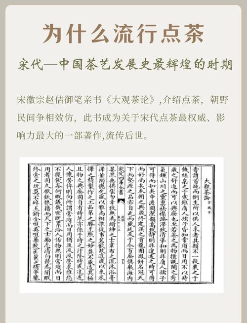 何以中国丨带上800字饮茶指南 去武夷山饮“宋”茶