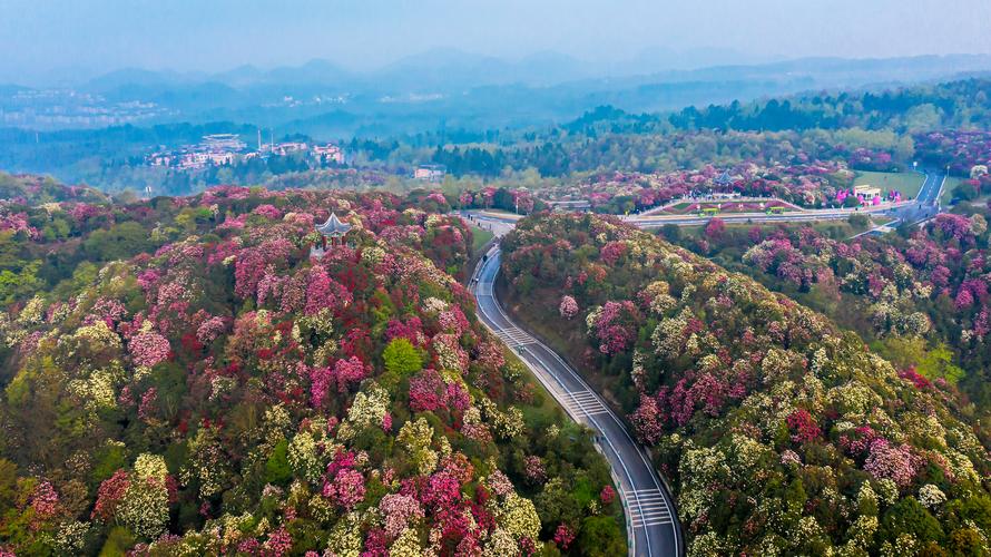 反向旅游小城 之 贵州毕节 享趣毕节 多彩毕至一路生花