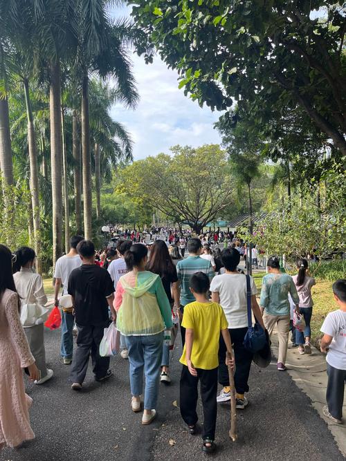 广东省深圳市，下午3点31分，深圳市福田区，莲花山公园人山人海