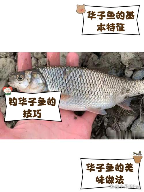 介绍三种东北神鱼，你真不一定吃过