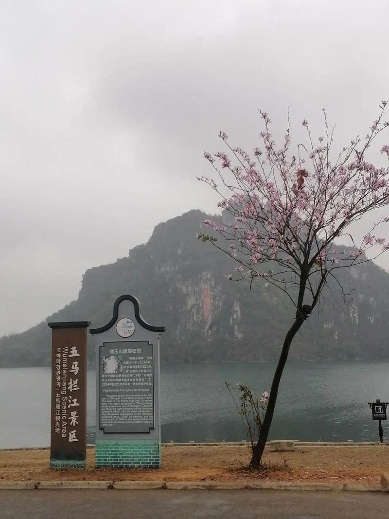 广西北流市有一处露天的士高让你心情放松