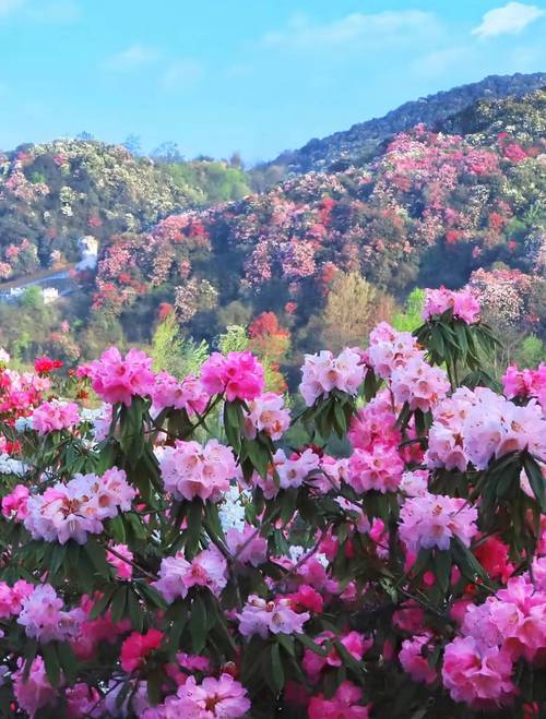 2025年4月24日