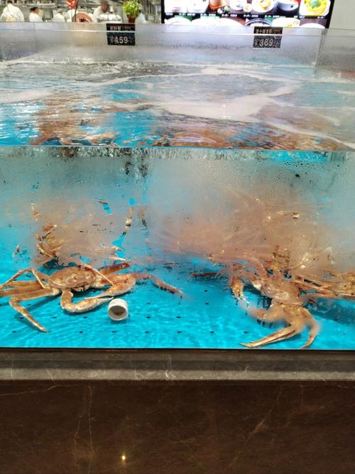 【苏州曼灵德海鲜自助】380元 连续两年推荐，鲜活松叶蟹任吃