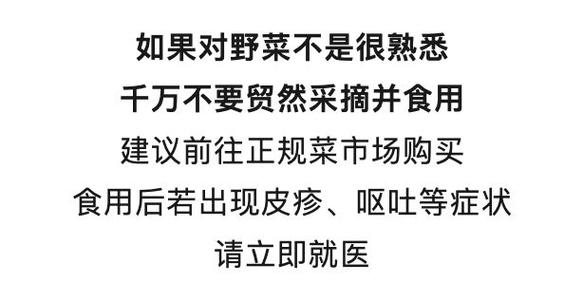 雨后大量出现，出门就能捡！很多杭州人爱吃！提醒来了