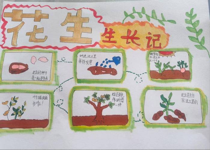 探索自然中的科学密码，30组亲子家庭探秘“植物生存智慧”