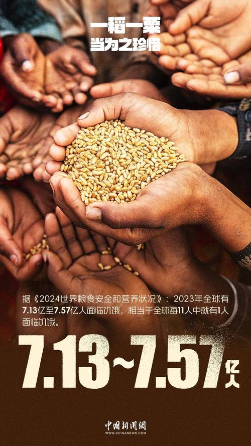 果然视频·看天下|世界粮食署在加沙粮食储备已耗尽