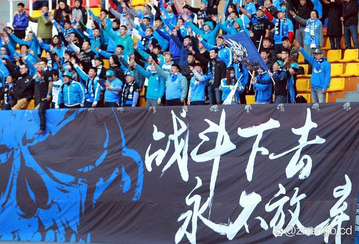 果然视频|鲁申之战，双方球迷全场唱跳为各自球队加油