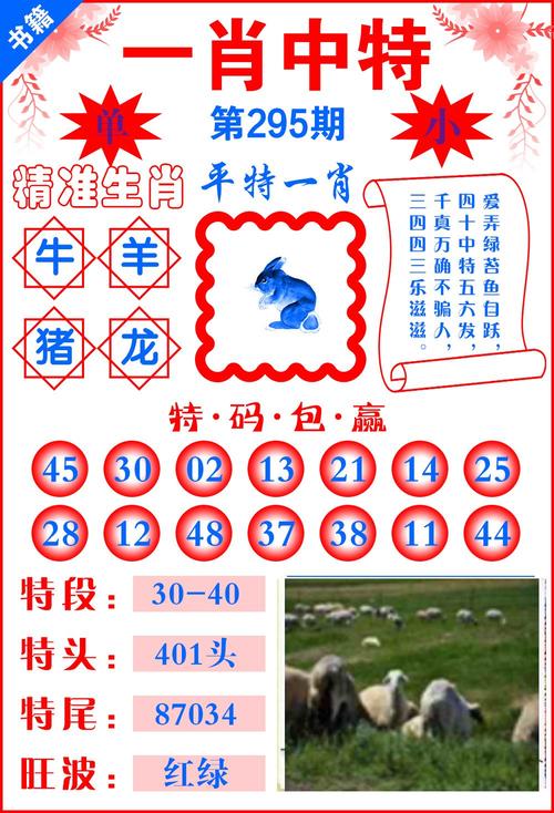 澳门一肖一码期期开奖结果准-精选释义、解释与落实与警惕虚假宣传
