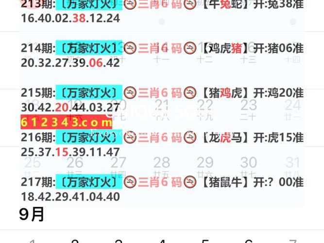 494949开奖结果最快-全面释义、专家解释与落实与警惕虚假宣传