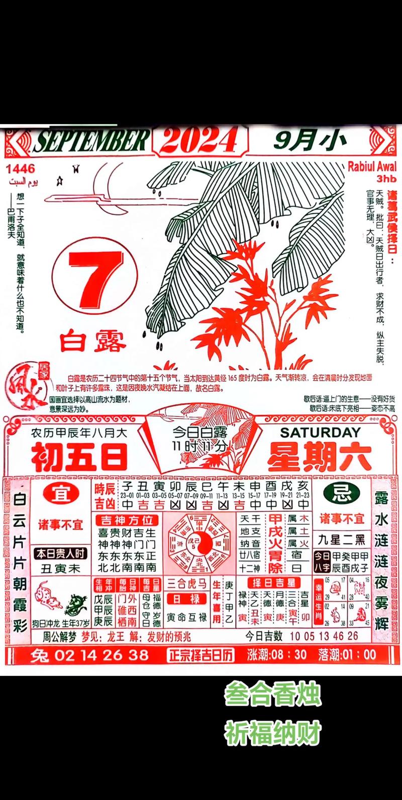 2024澳门今天晚上开什么生肖和什么清寐,精选释义、解释与落实与警惕虚假宣传