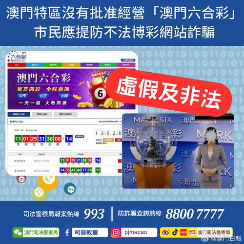 2024澳门精准正版资料大全小龙女论坛,全面释义、专家解释与落实与警惕虚假宣传