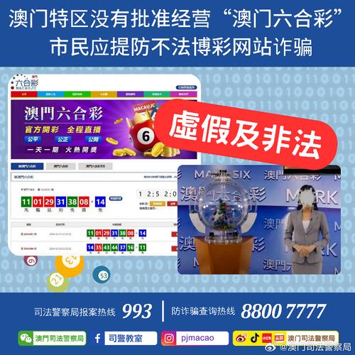 新澳门免费精准大全,全面释义、专家解释与落实与警惕虚假宣传