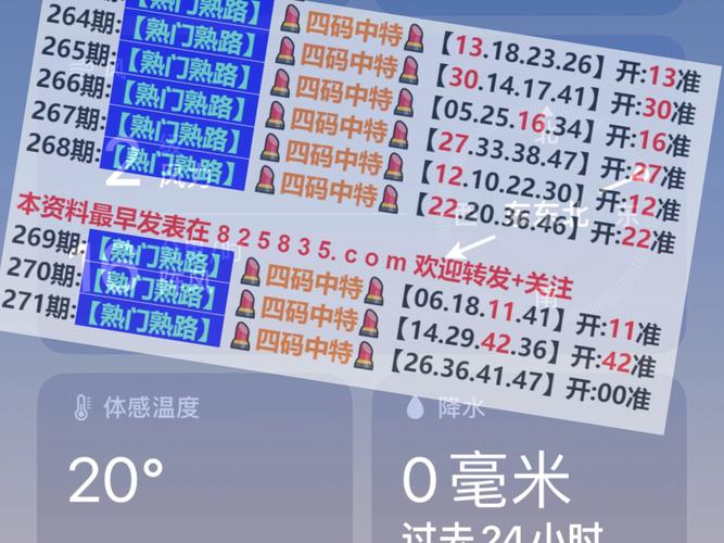 2024澳门正版资料大全下载地址,全面释义、专家解释与落实与警惕虚假宣传