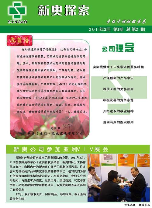 新澳门精准正最精准,全面释义、解释与落实与警惕虚假宣传