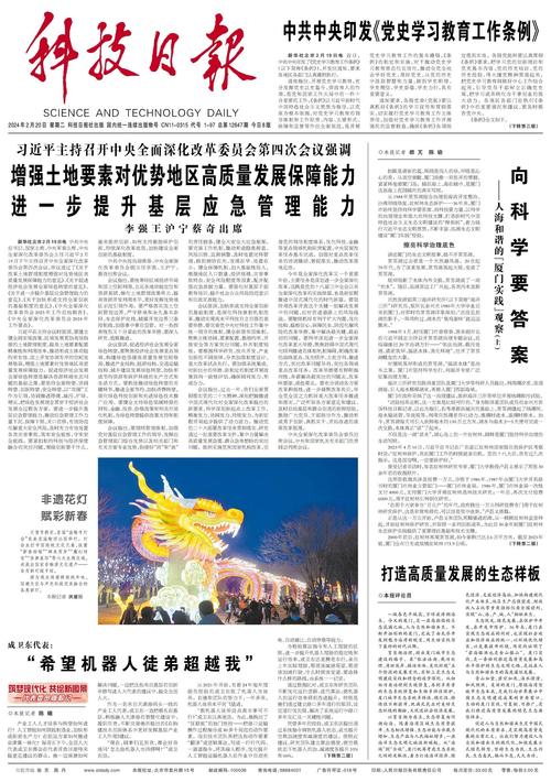 新澳门开奖结果2025开奖记录查询,全面释义、专家解释与落实与警惕虚假宣传
