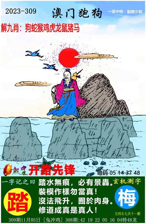 2015香港新版跑狗图,2025全面解析实用技巧分享
