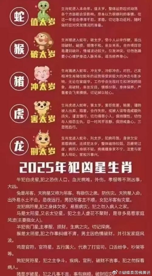 2025年十二生肖码表图片,全面释义、解释与落实与警惕虚假宣传