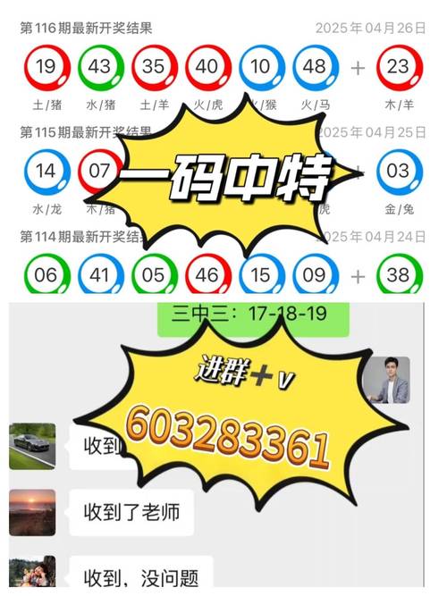 新澳历史开奖记录查询结果与新澳门精准正版免费开奖记录全面释义、解释与落实与警惕虚假宣传
