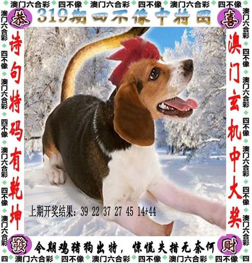最准一肖一码100中奖的背景故事与白小姐一肖一码今晚开奖今晚开了什么今晚开…全面释义、解释与落实与警惕虚假宣传