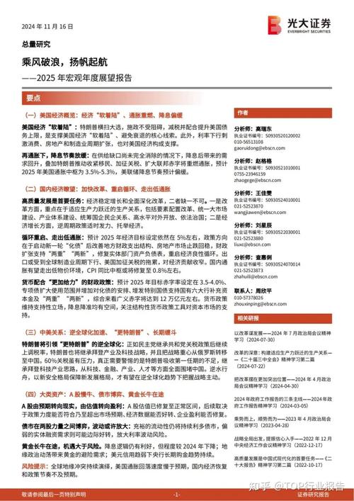 2025年正版资料免费大全-精选释义、解释与落实与警惕虚假宣传