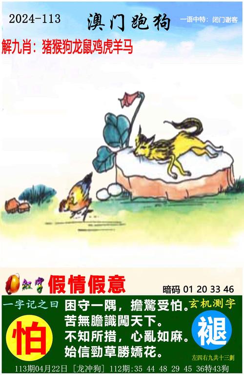 2024澳门正版资料免费大全精准112期,2025全面解析实用技巧分享